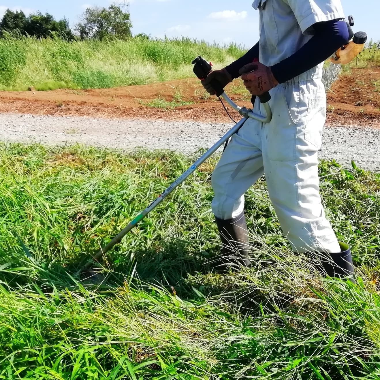 草刈り 知立市 | 知立市で草刈りならお庭の窓口知立市