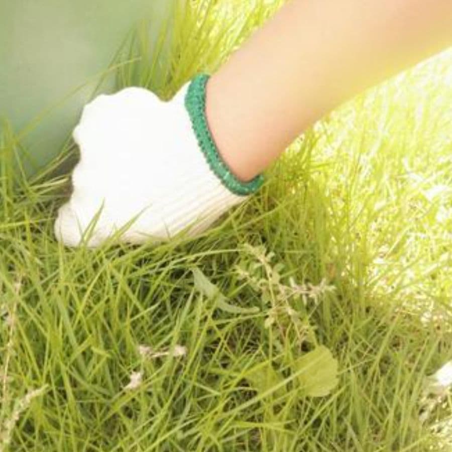 草取り 知立市 | 知立市で草取りならお庭の窓口知立市