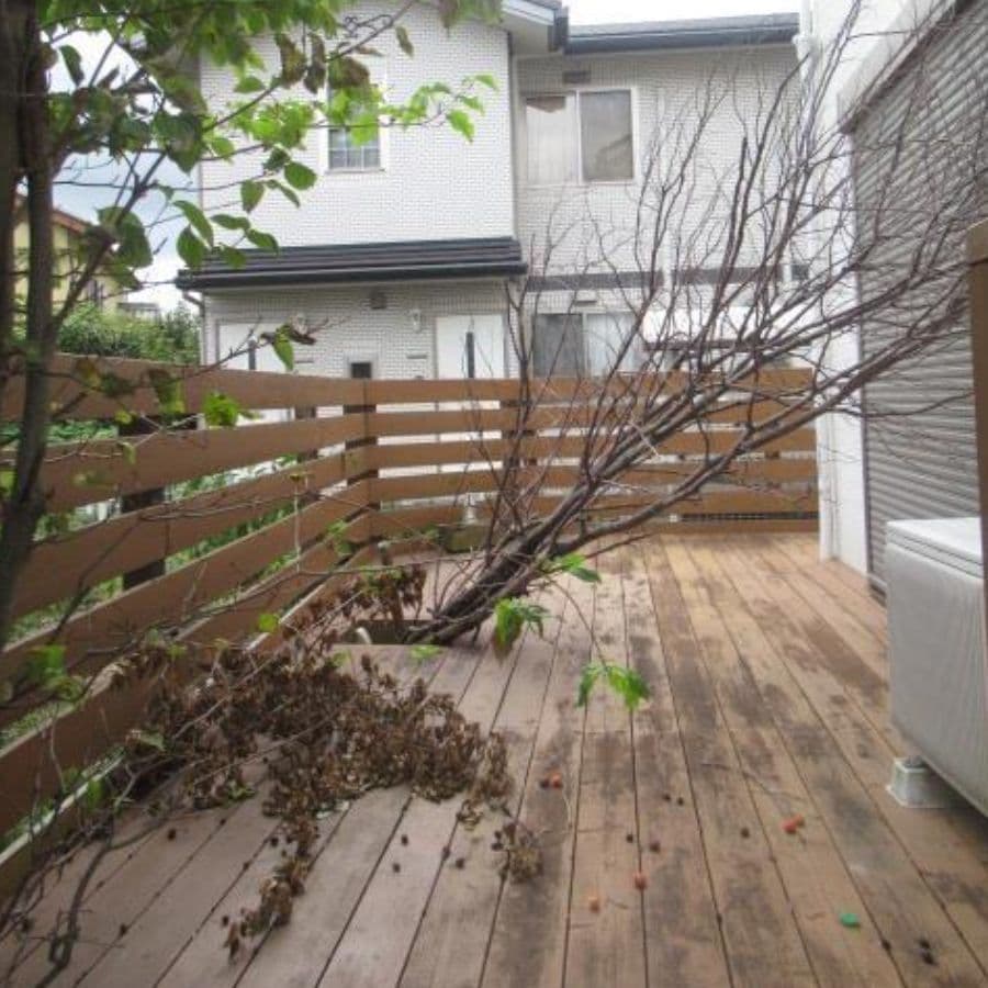 倒木撤去 知立市 | 知立市で庭木の倒木撤去ならお庭の窓口知立市