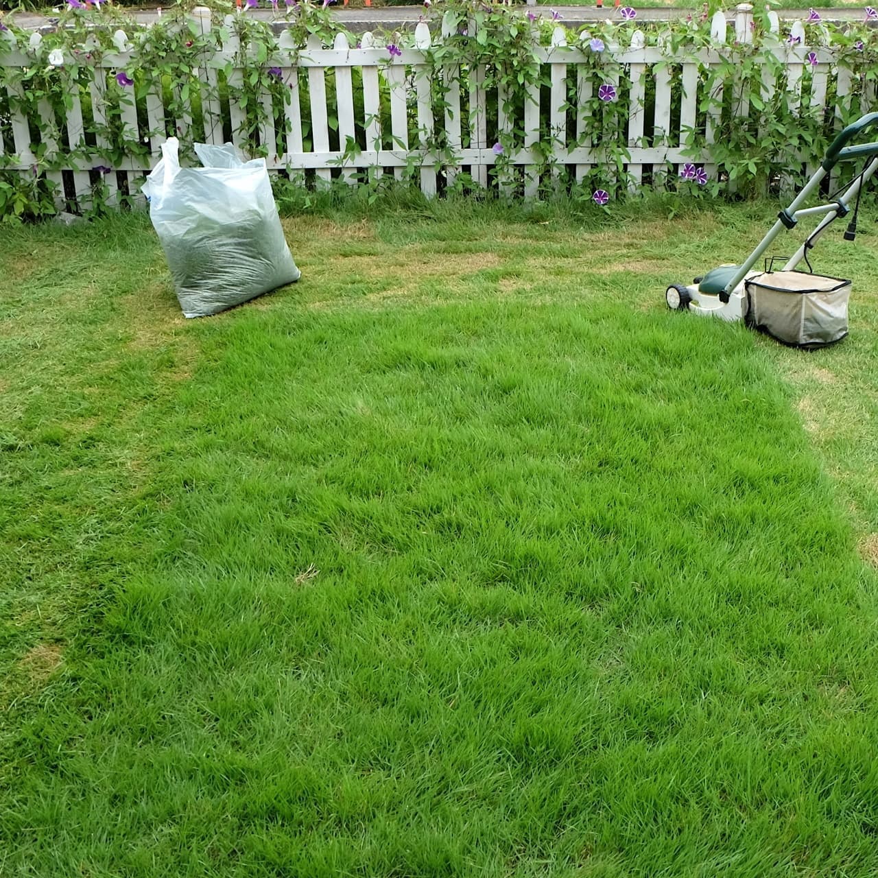 芝生の手入れ 知立市 | 知立市で芝生の手入れならお庭の窓口知立市