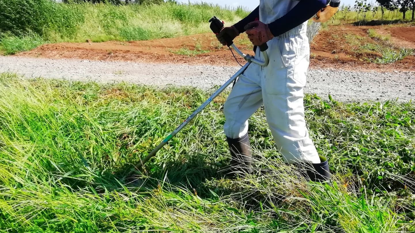 草刈り 知立市 | 知立市で草刈りならお庭の窓口知立市