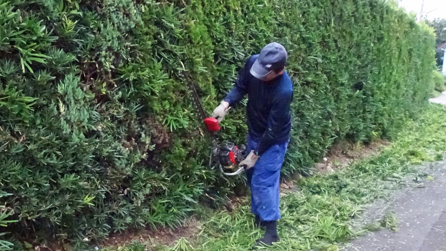 生垣剪定 知立市 | 知立市で生垣剪定ならお庭の窓口知立市