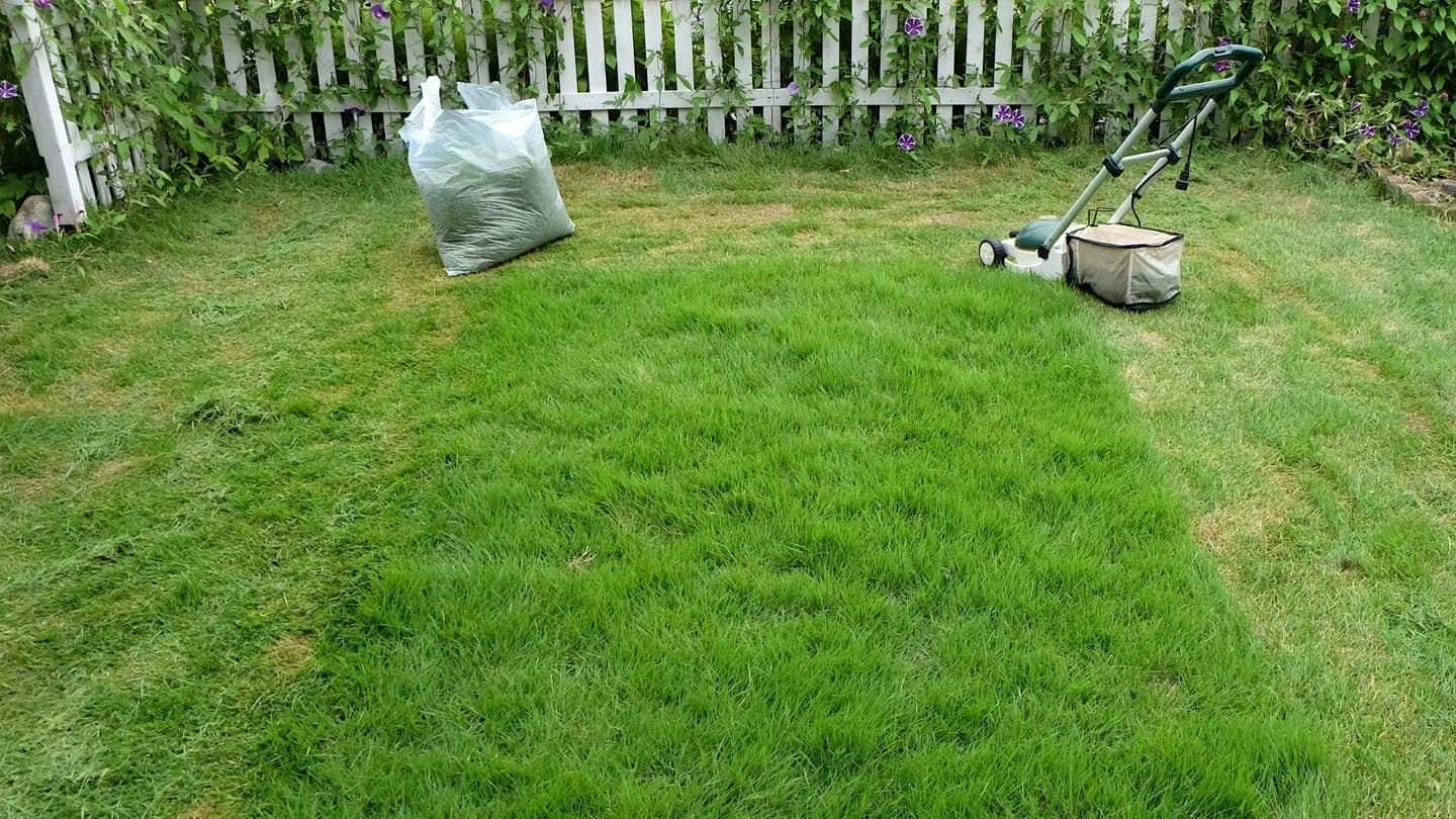 芝生の手入れ 知立市 | 知立市で芝生の手入れならお庭の窓口知立市