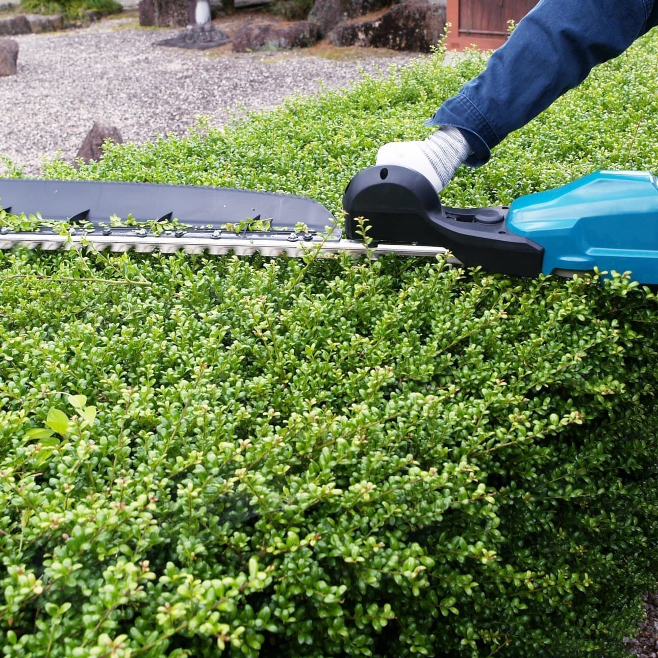 植込み剪定 知立市 | 知立市で庭木の植込み剪定ならお庭の窓口知立市