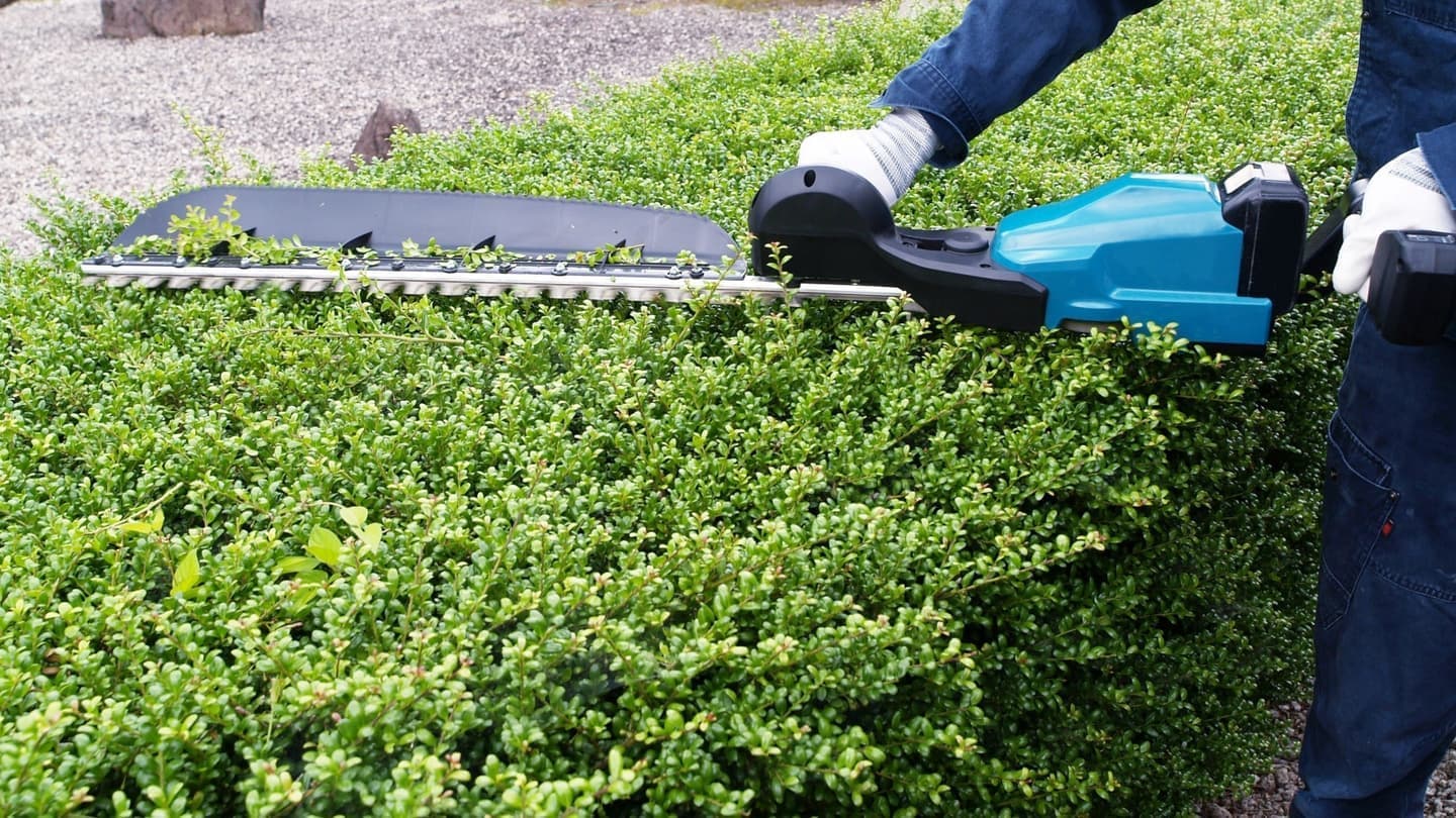 植込み剪定 知立市 | 知立市で植込み剪定ならお庭の窓口知立市
