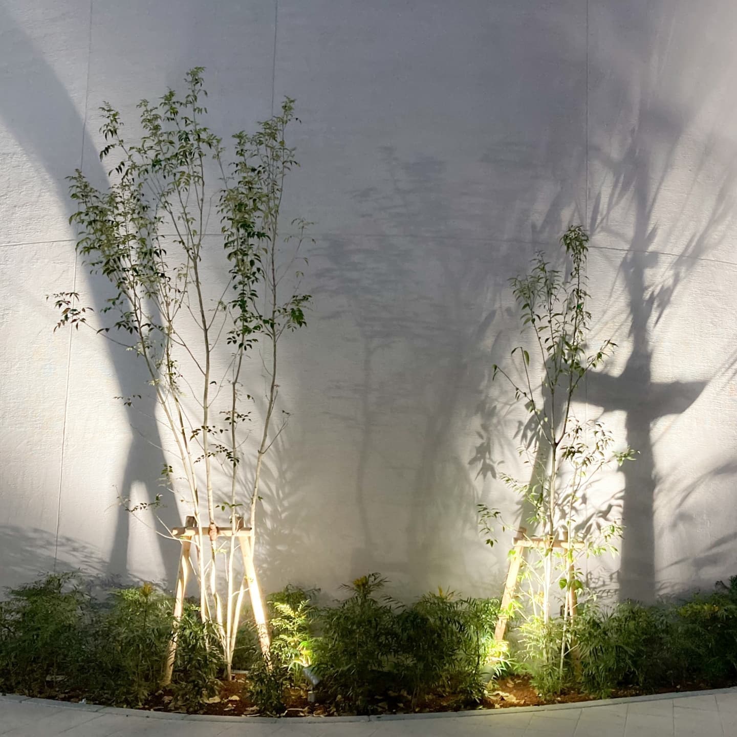 庭木の植栽 知立市 | 知立市で庭木の植栽ならお庭の窓口知立市