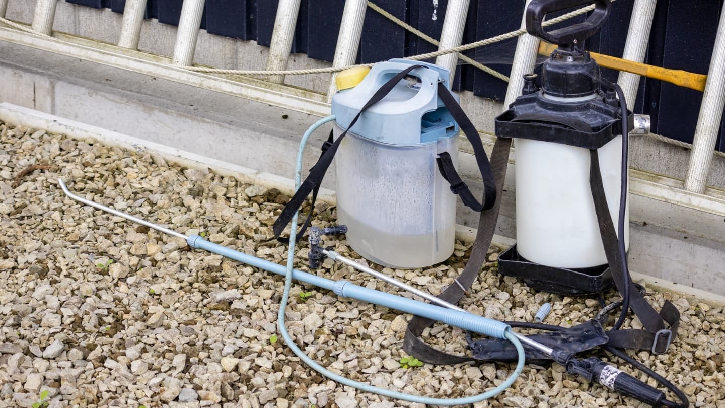 庭木の消毒・害虫対策 知立市 | 知立市で庭木の消毒・害虫対策ならお庭の窓口知立市