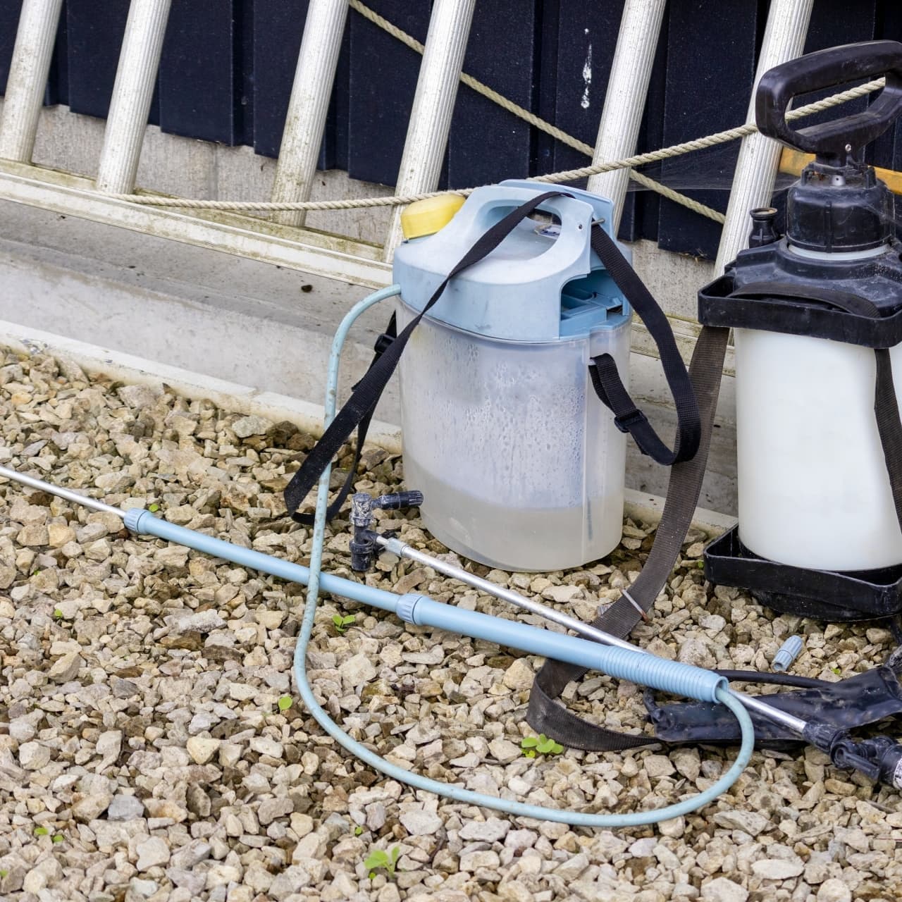 庭木の消毒・害虫対策 知立市 | 知立市で庭木の消毒・害虫対策ならお庭の窓口知立市